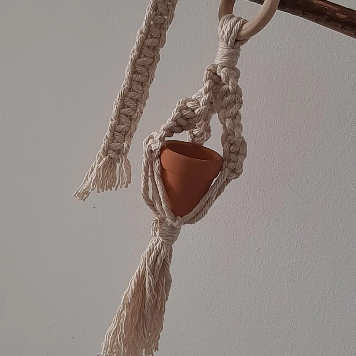 Aprendemos com nós